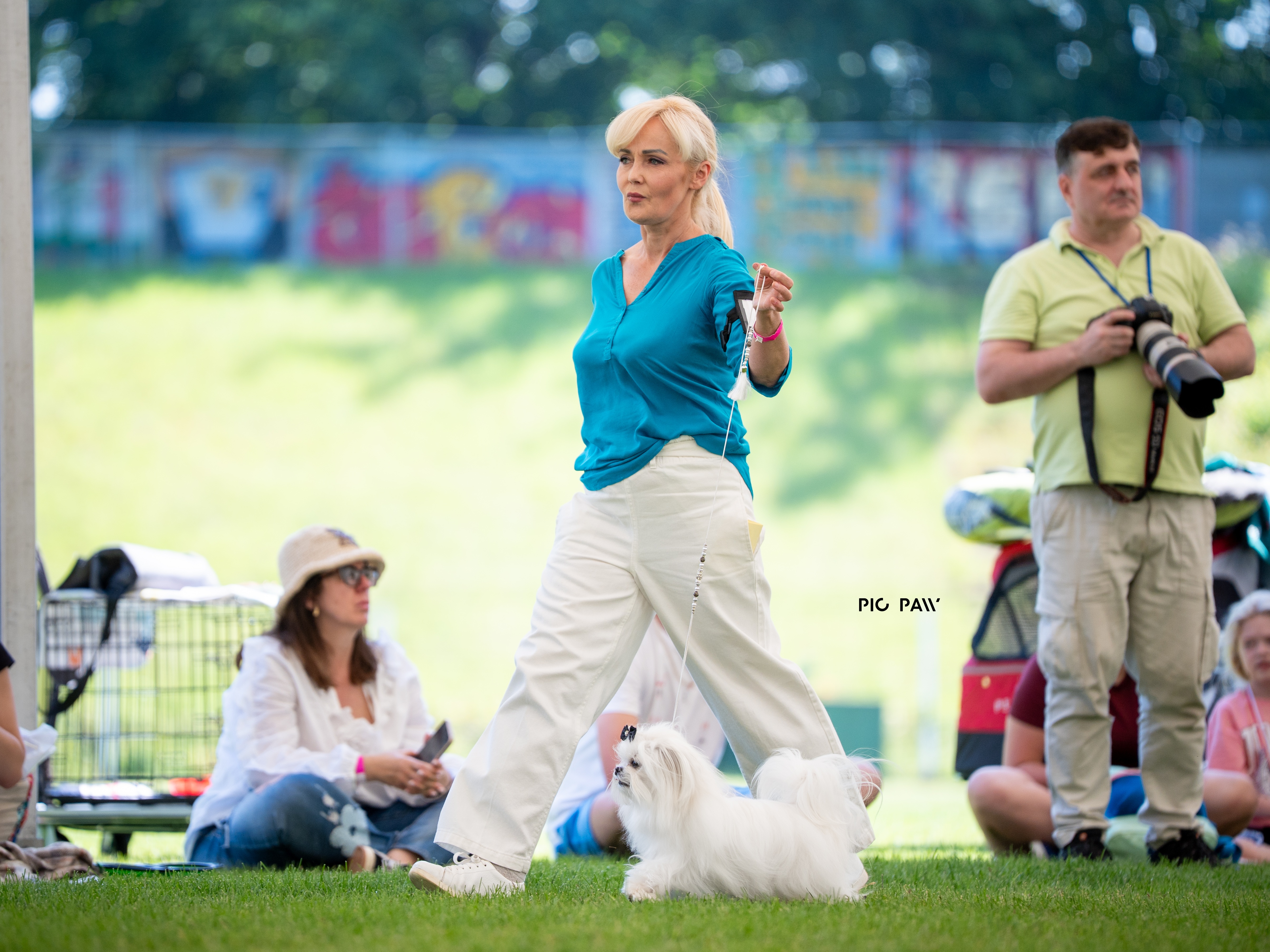 THE GOLDEN DELICIOUS